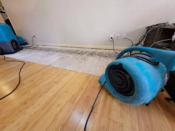 Professional Structural Drying technician working in Centerville, CA